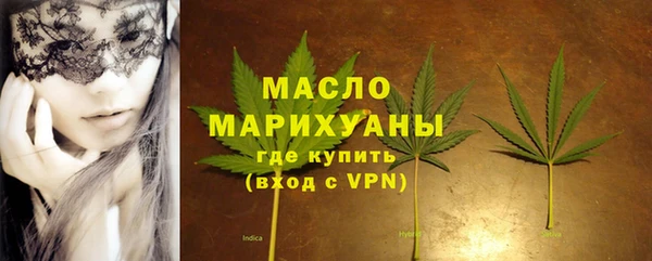 индика Богородск