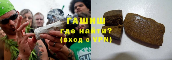 индика Богородск