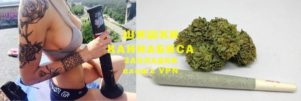 тгк Богородицк