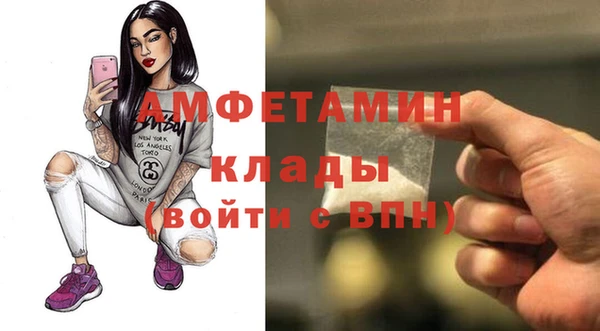индика Богородск