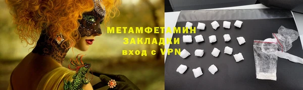индика Богородск