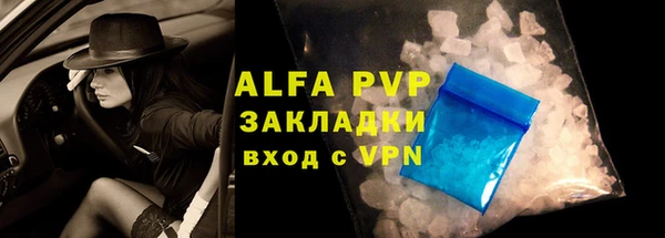 индика Богородск