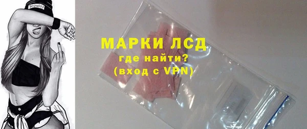 индика Богородск