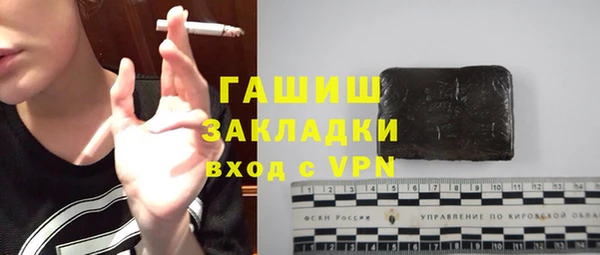 индика Богородск