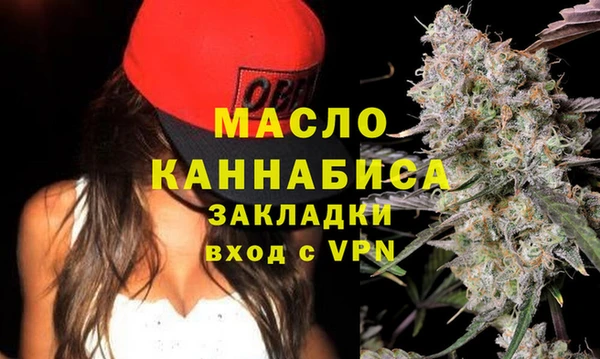 индика Богородск