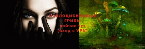 индика Богородск