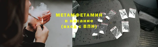 индика Богородск