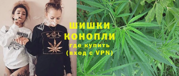 тгк Богородицк