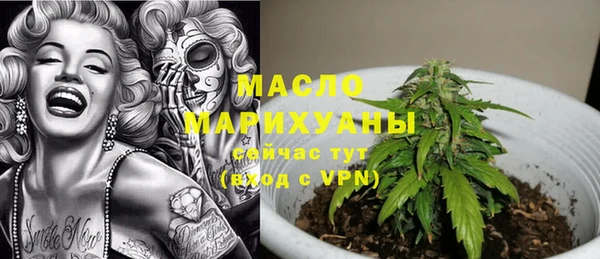 индика Богородск