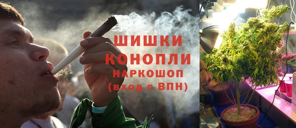 бошки Белокуриха