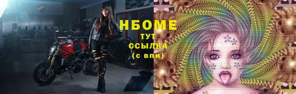 индика Богородск