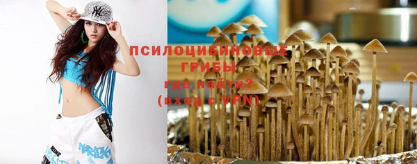 индика Богородск